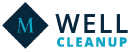 Well Cleanup AS